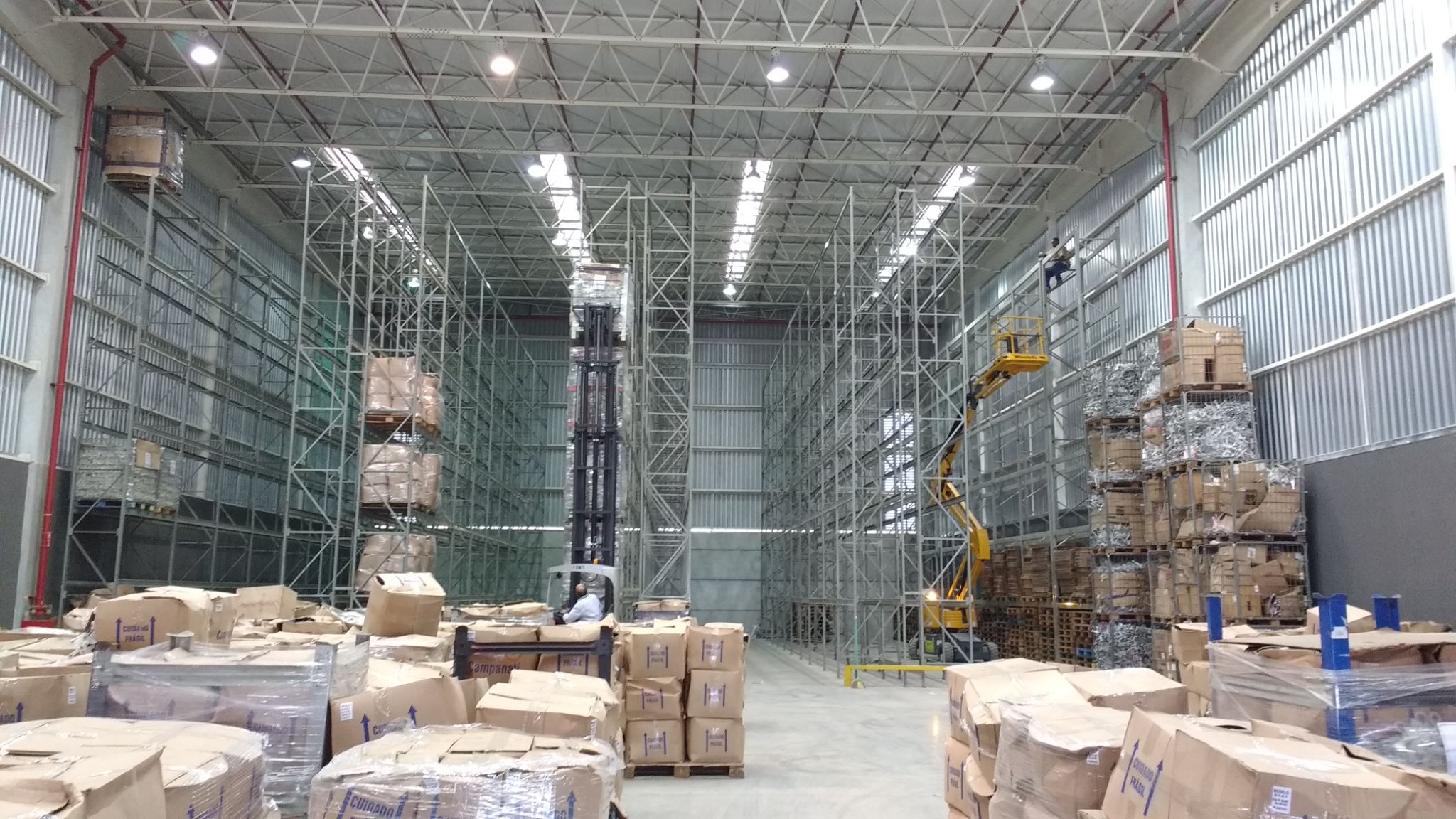 Motus